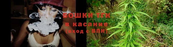 гашик Алексеевка
