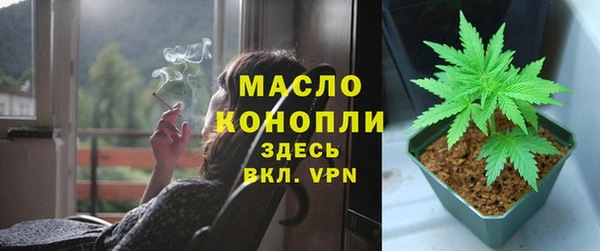 тгк Алзамай