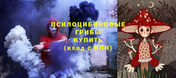 дмт Горнозаводск