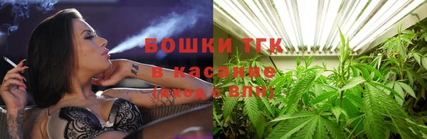гашик Алексеевка
