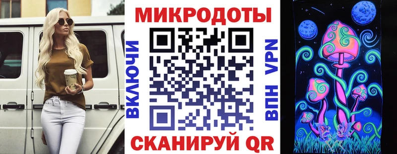 дарнет шоп  Коркино  Галлюциногенные грибы мицелий 