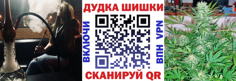 Конопля гибрид  Коркино 